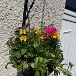 Дом отдыха Havelock Hideaway Уиндермир