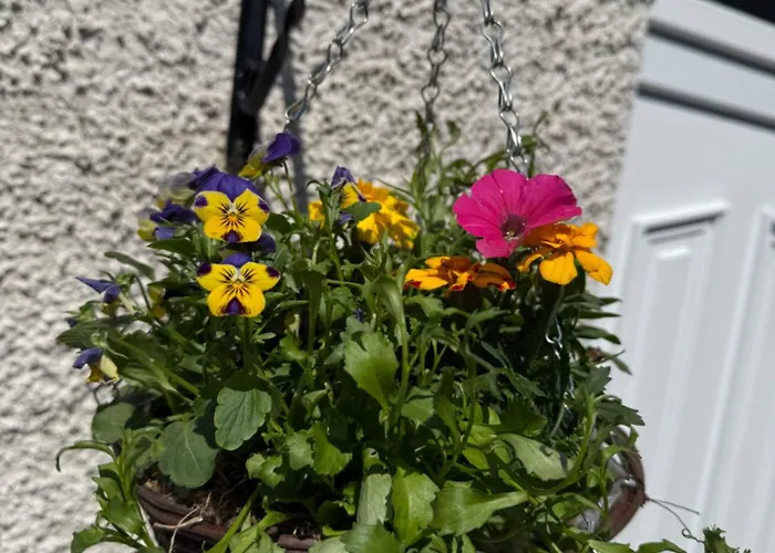 Holiday home Havelock Hideaway Windermere